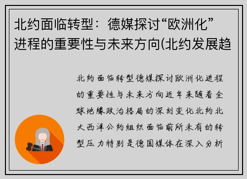 北约面临转型：德媒探讨“欧洲化”进程的重要性与未来方向(北约发展趋势)